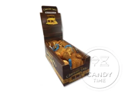 Milk Chocolate Coins