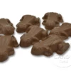 Premium Milk Chocolate Frogs 20pce Bag -CANDY TIME Store milk chocolate frogs