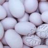 Mauve/Light Purple Sugared Almonds