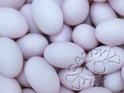 Mauve/Light Purple Sugared Almonds