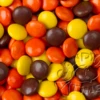 Reeses Pieces Bulk