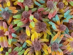 Trolli Gummi SOUR Octopus 1.5kg Bag
