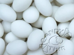 White Sugared Almonds